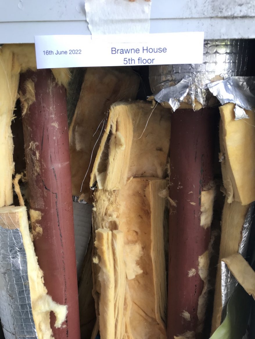 Brawne 05 Floor