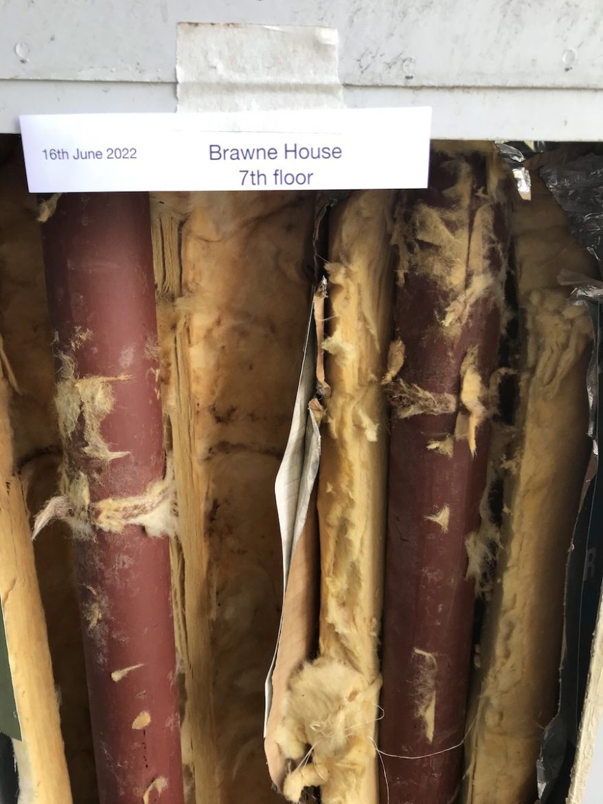 Brawne 07 Floor