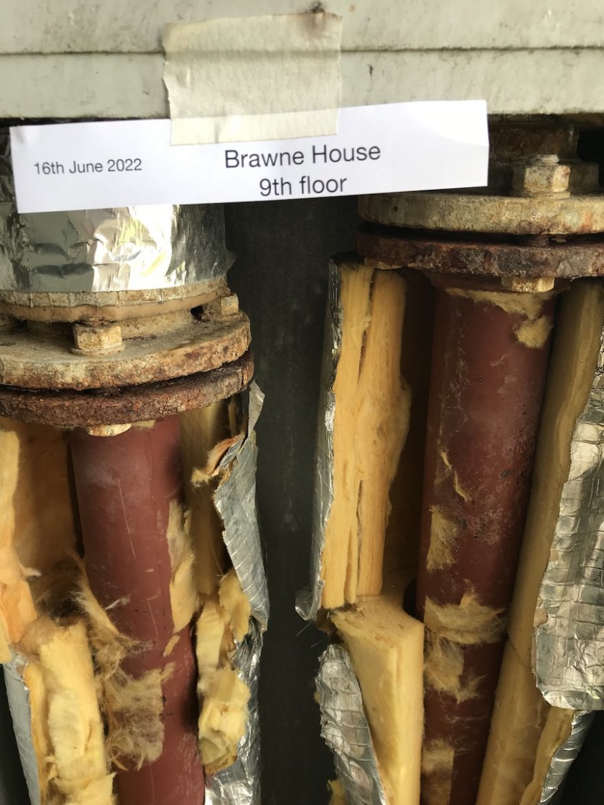 Brawne 09 Floor