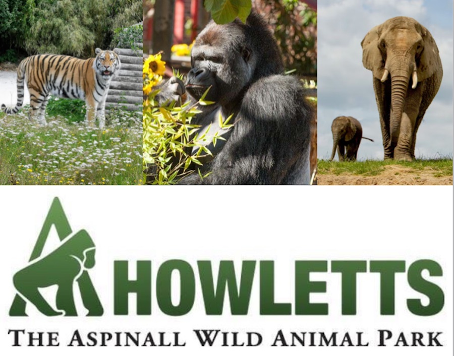 Howletts