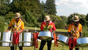 Steel Pan Agency