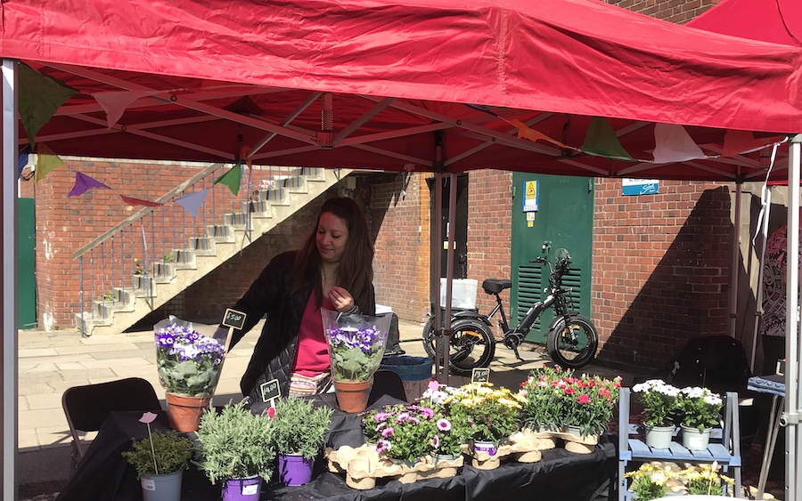 Market 13