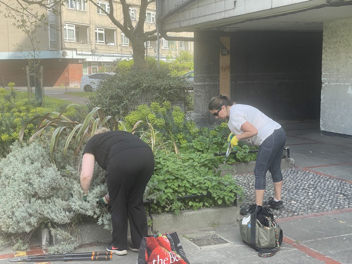 Community Gardening 01