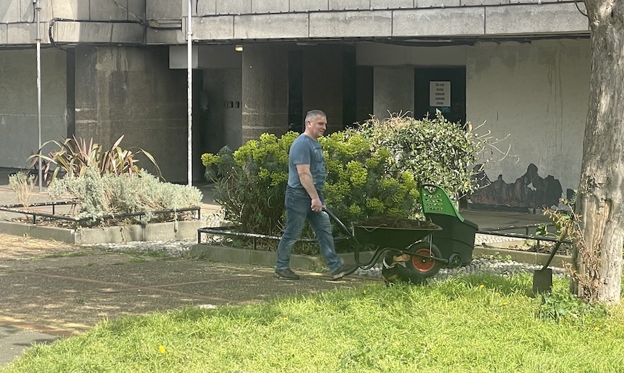 Community Gardening 04