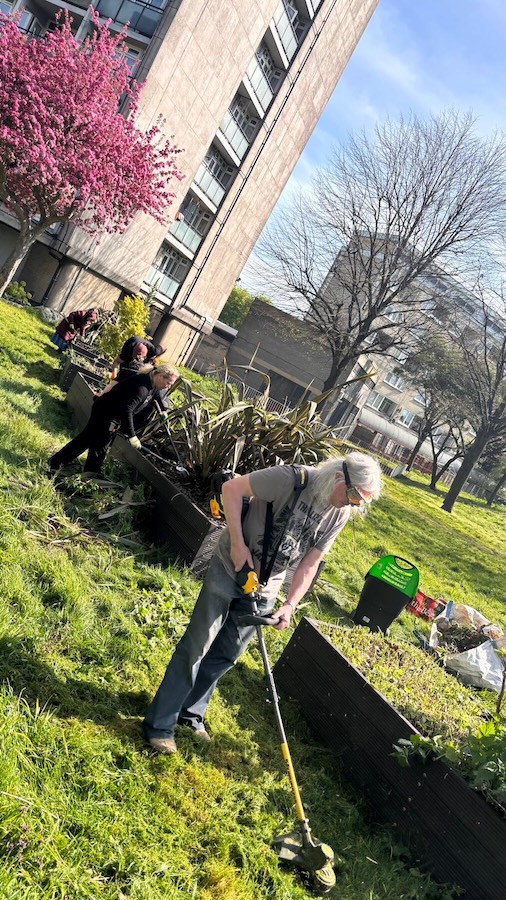 Community Gardening 08