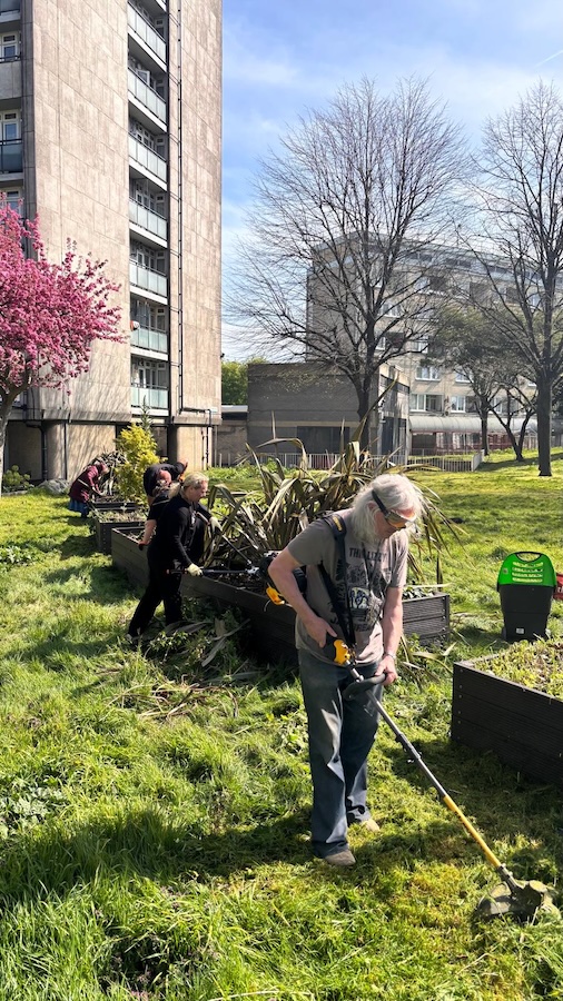 Community Gardening 09