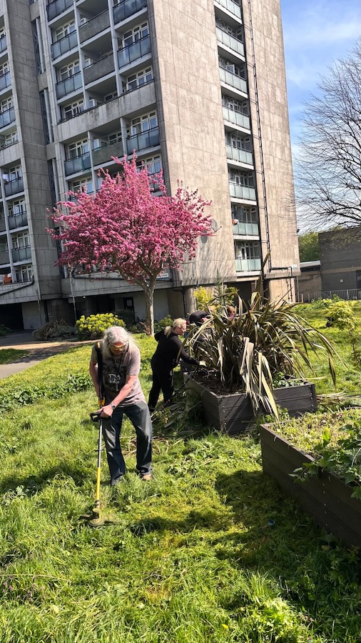 Community Gardening 10